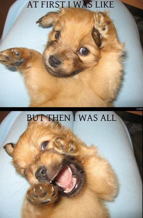 First I was then I was that