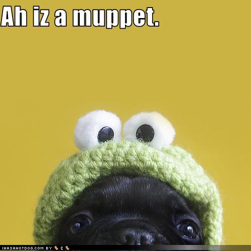 Ah iz a muppet