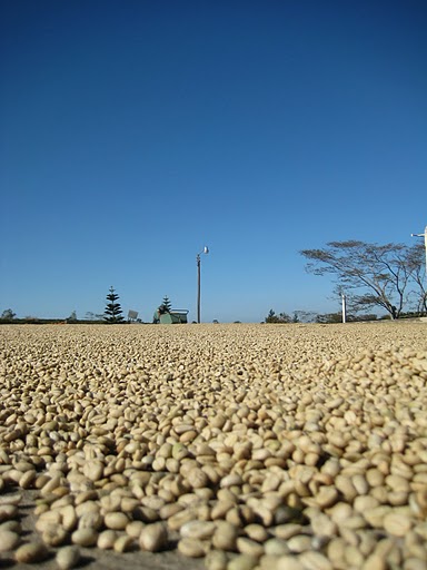 Doka Estates